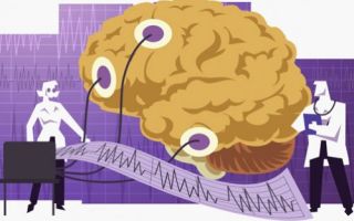 Електроенцефалограма на мозъка — принципът на действие и методите на приложение. Полезно за електротехник: електротехника и електроника