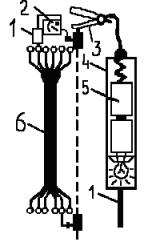 דיאגרמת המשכיות של ליבות כבלים