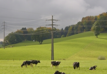 Napowietrzna linia energetyczna