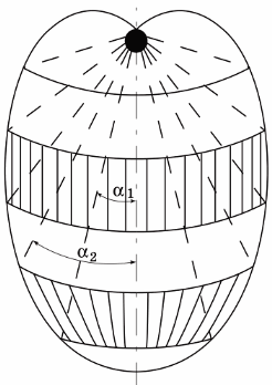 Модел на симетричен радиатор
