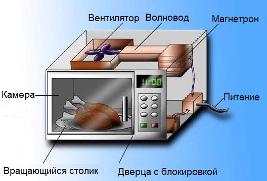 Принципът на действие и устройството на микровълновата печка